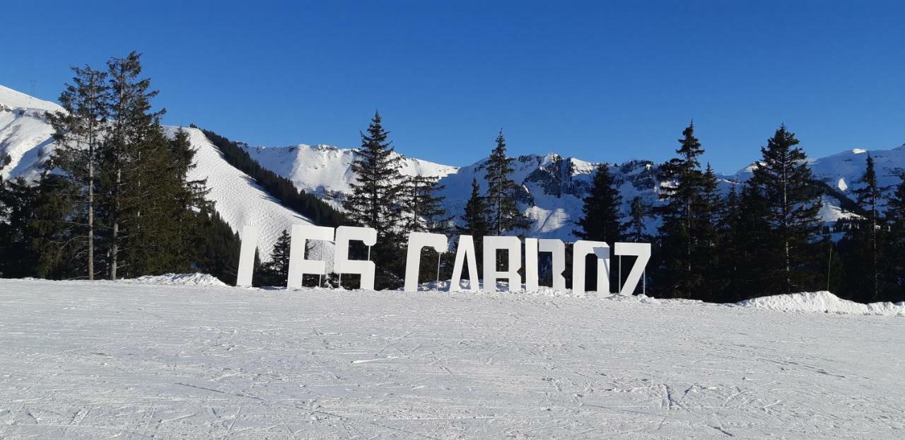 Grand Studio Les Carroz d'Araches Exteriér fotografie
